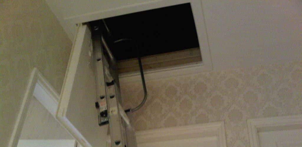 Loft hatch open with aluminium loft ladder